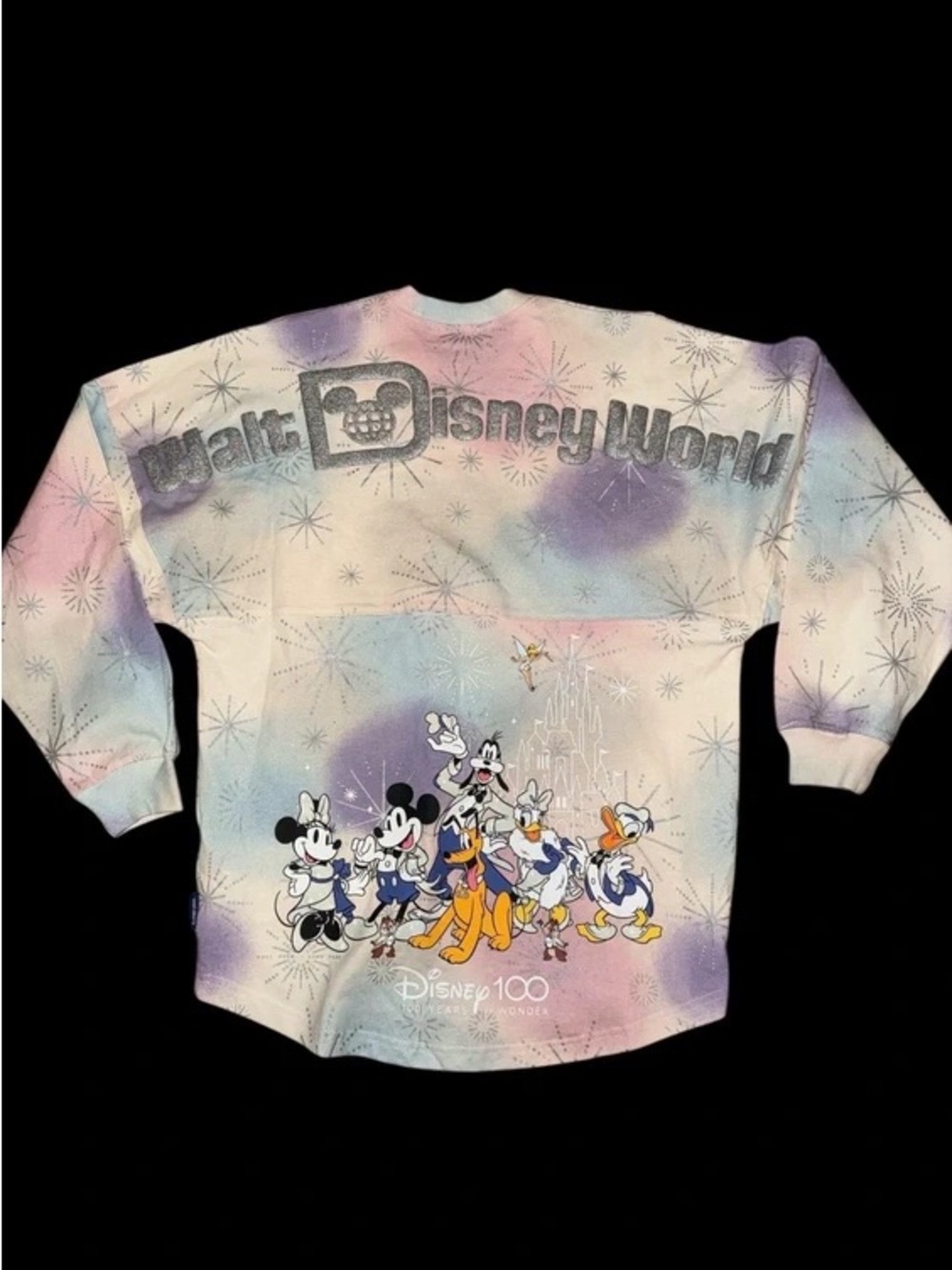 LIMITED EDITION Disney 100 Spirit Jersey Small